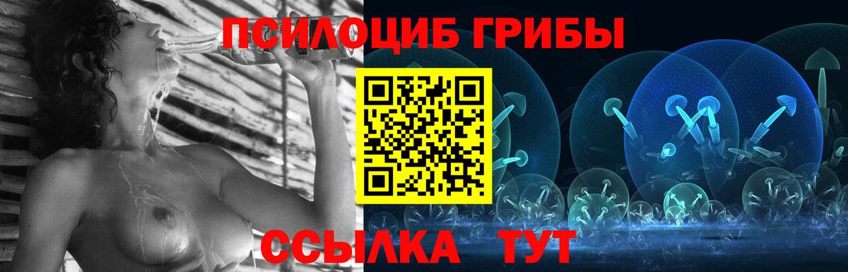 Псилоцибиновые грибы мицелий  Вход с VPN  цена   Южноуральск 