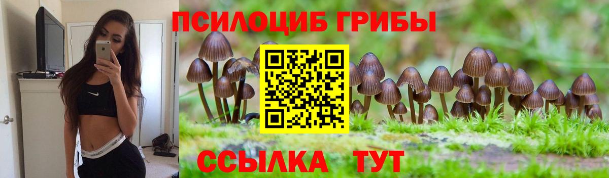 Галлюциногенные грибы мицелий Южноуральск